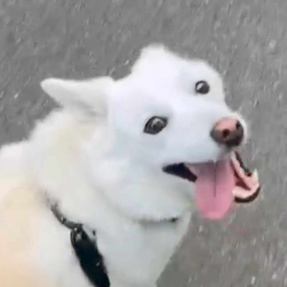 J0w0