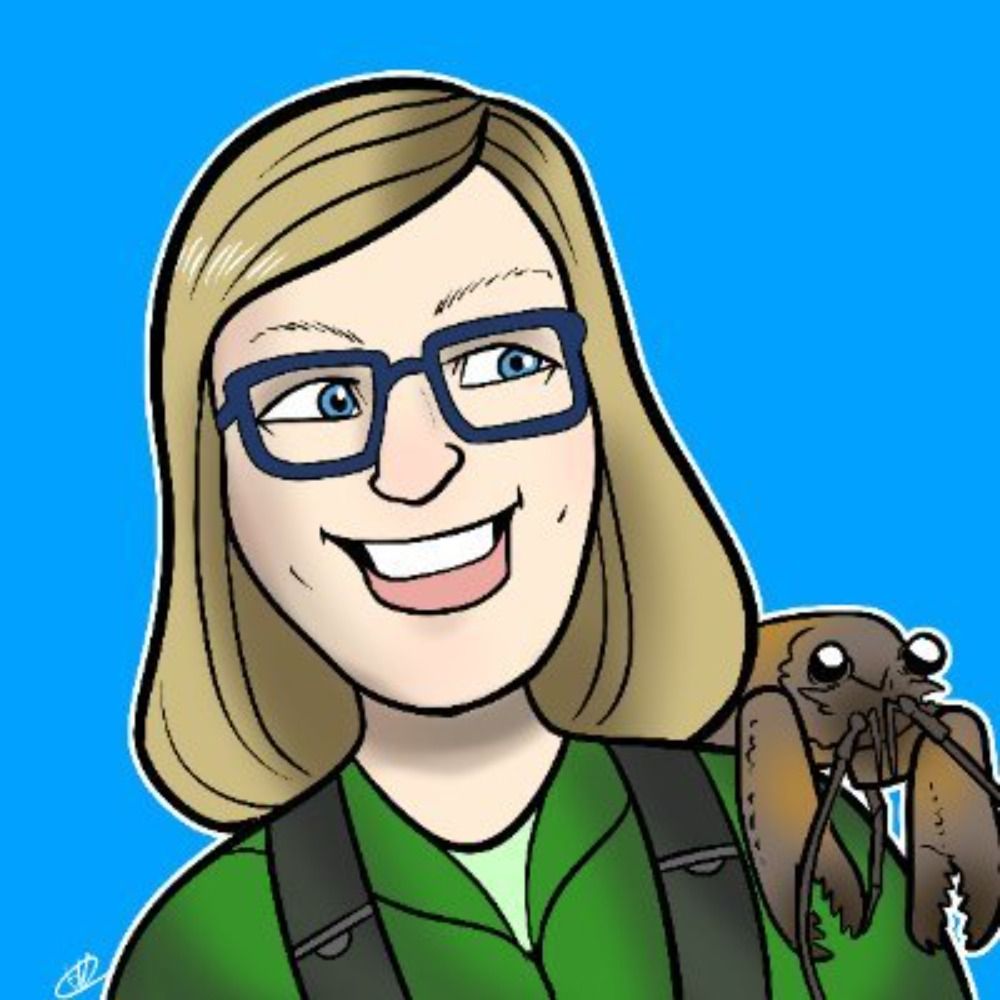Dr Katie Collins