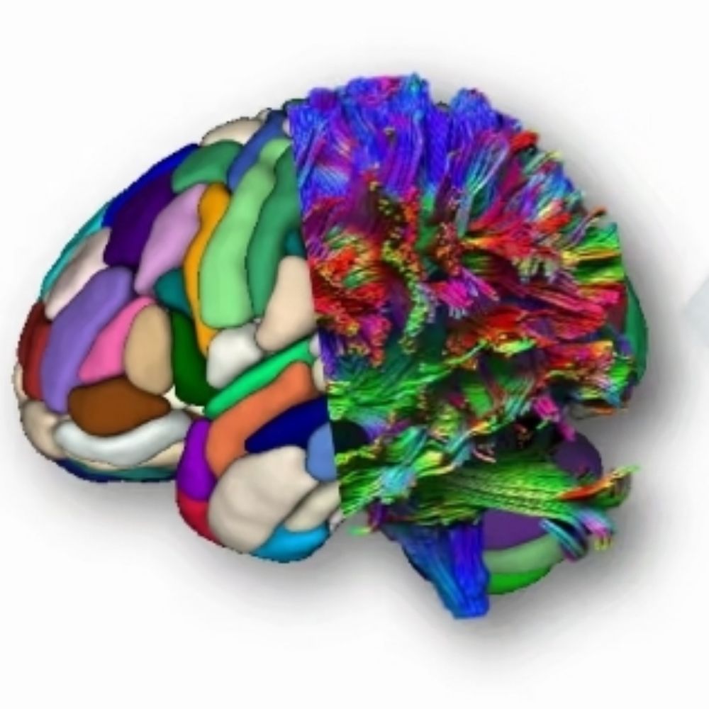 NeuroL