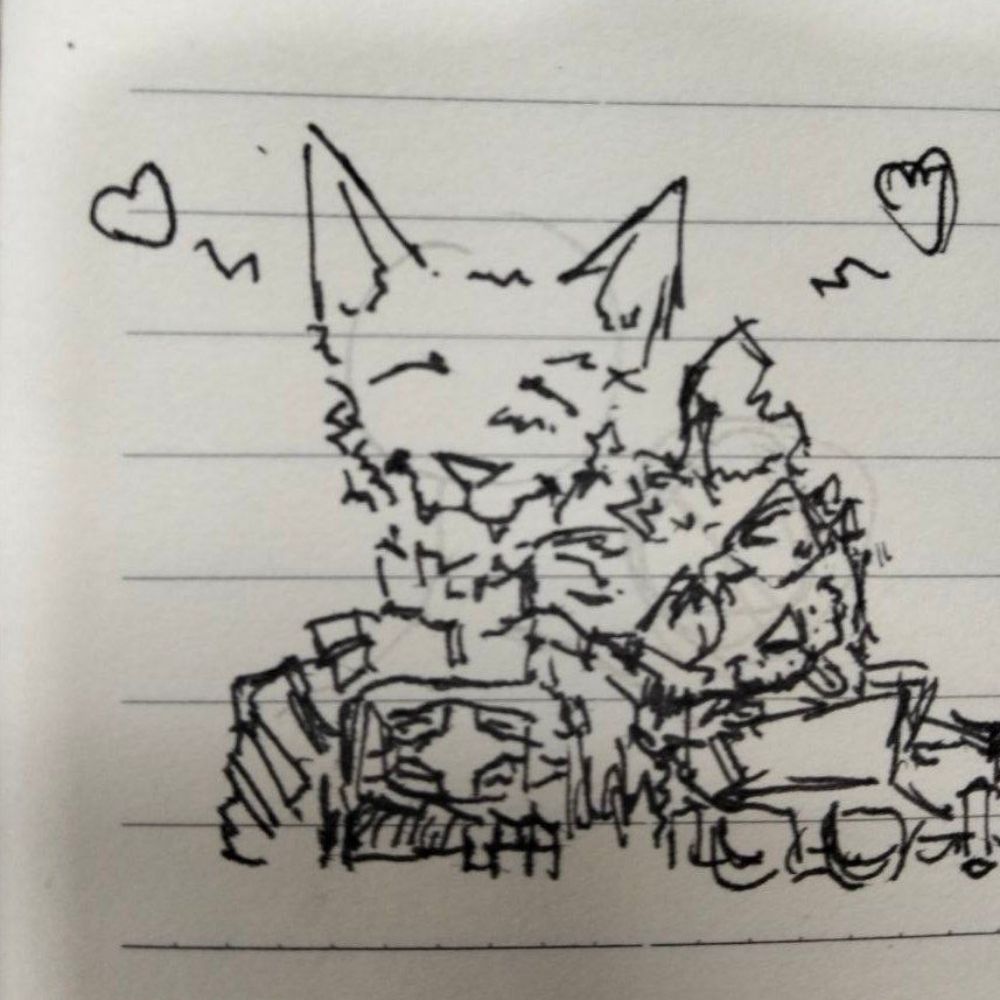 Texican yote 
