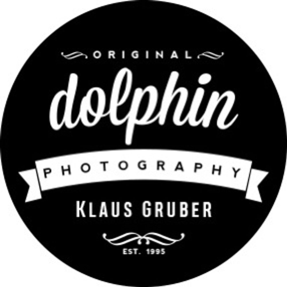 dolphin photography