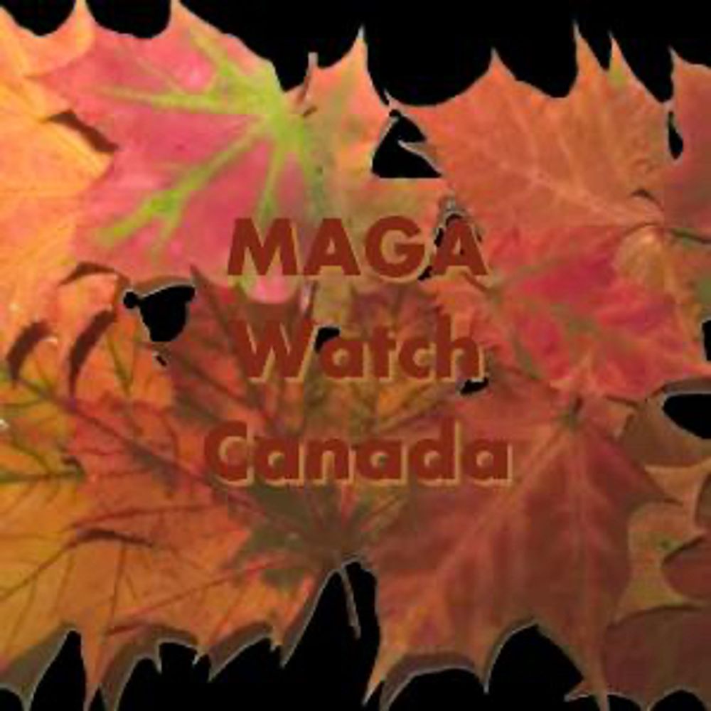 magawatchcanada.bsky.social profile picture