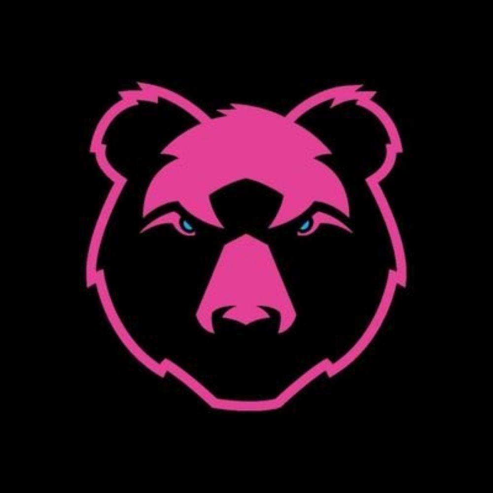 Doodle Bear
