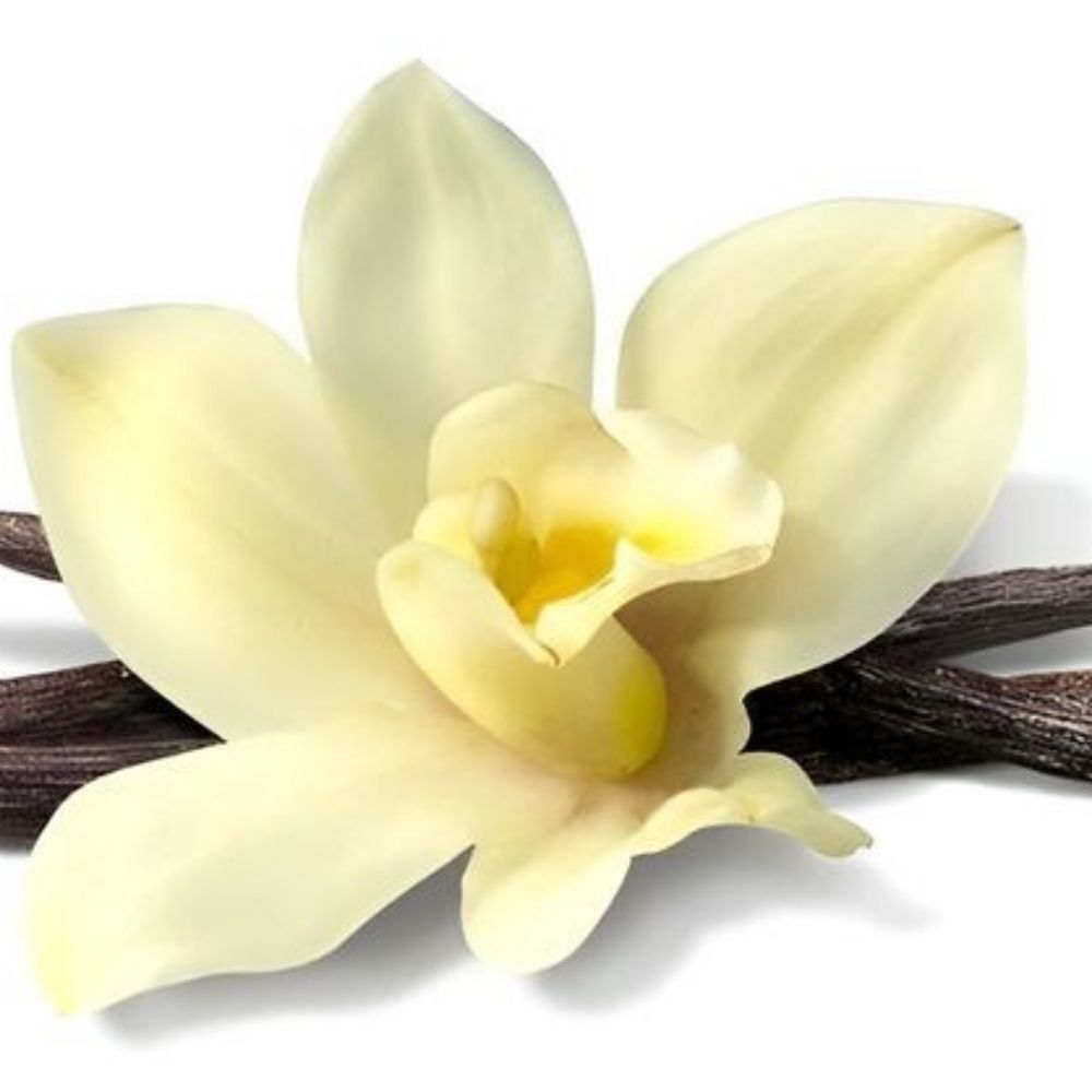vanilla
