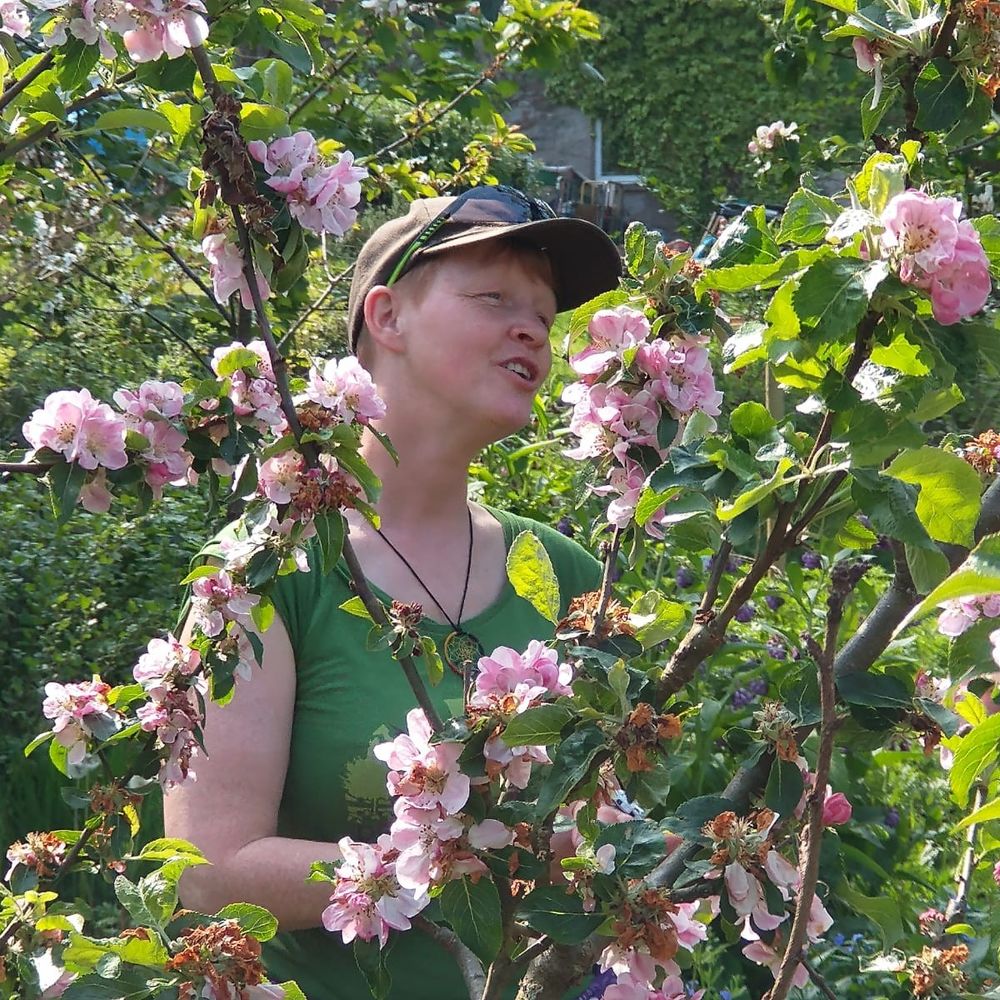 Lusi