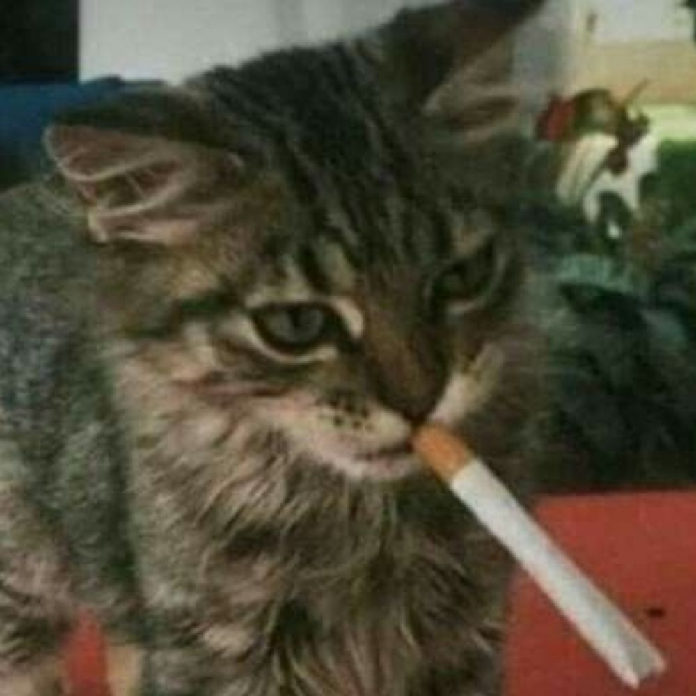 东獭