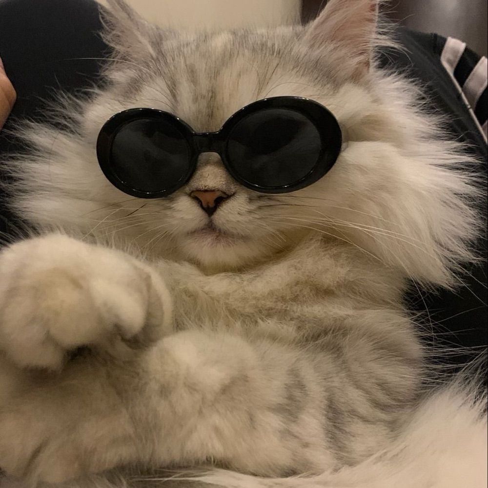 와식
