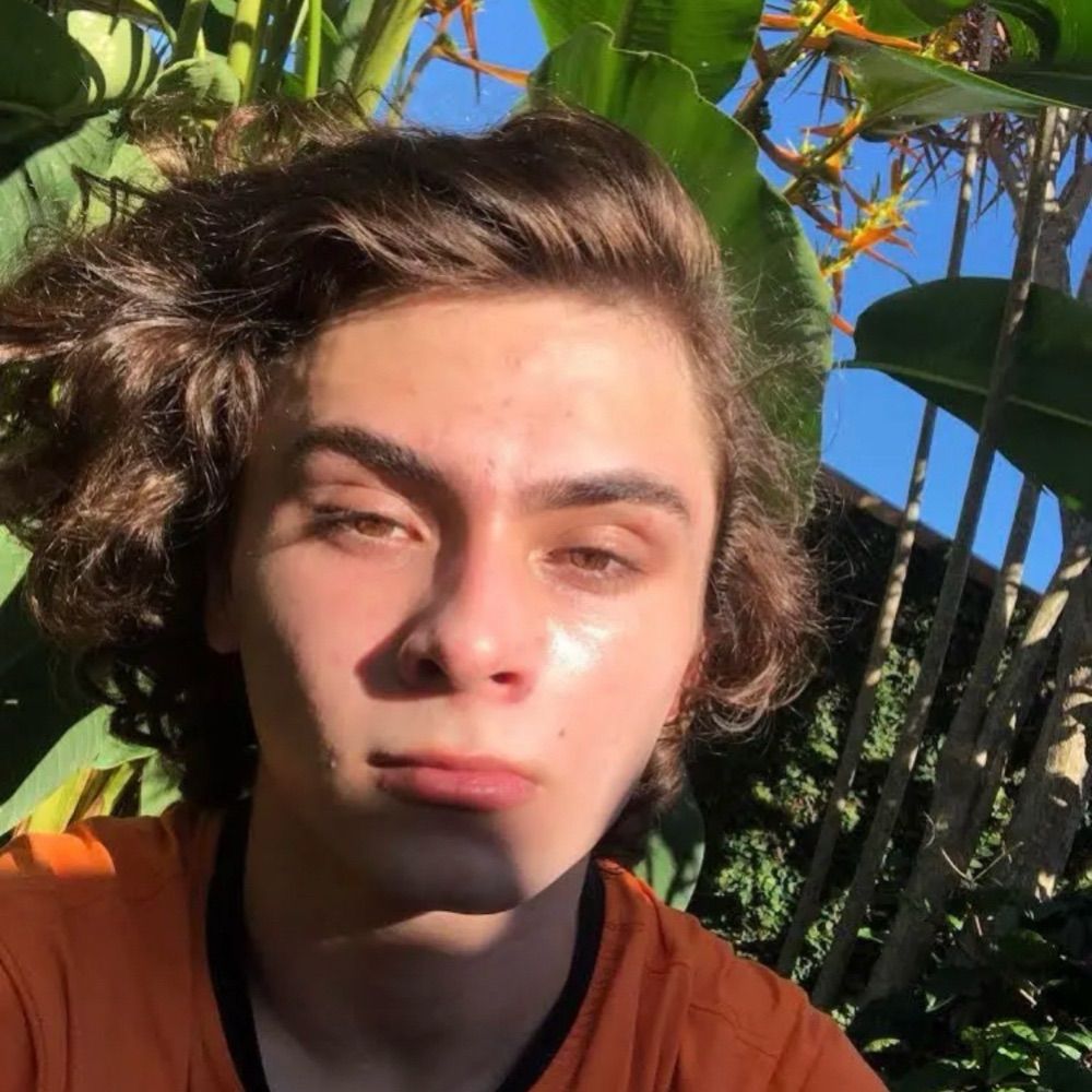 vinícius