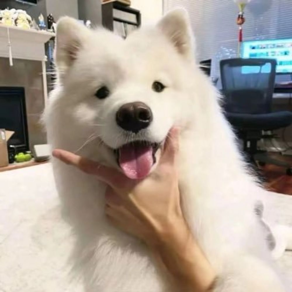 樂.