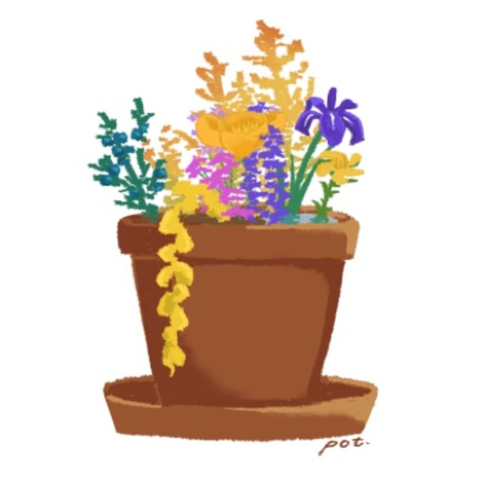 Pot