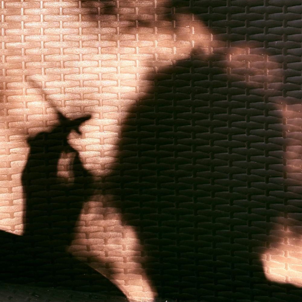 rarelightmare.com profile picture
