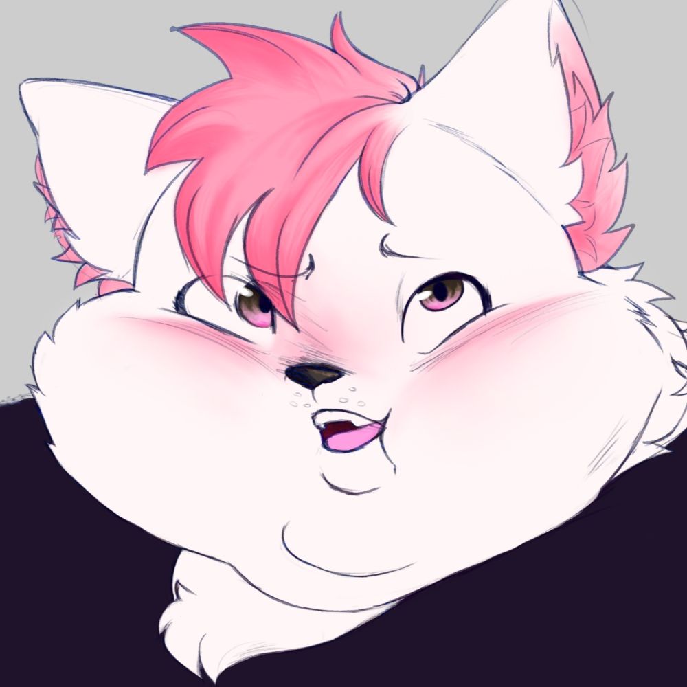 samochubs