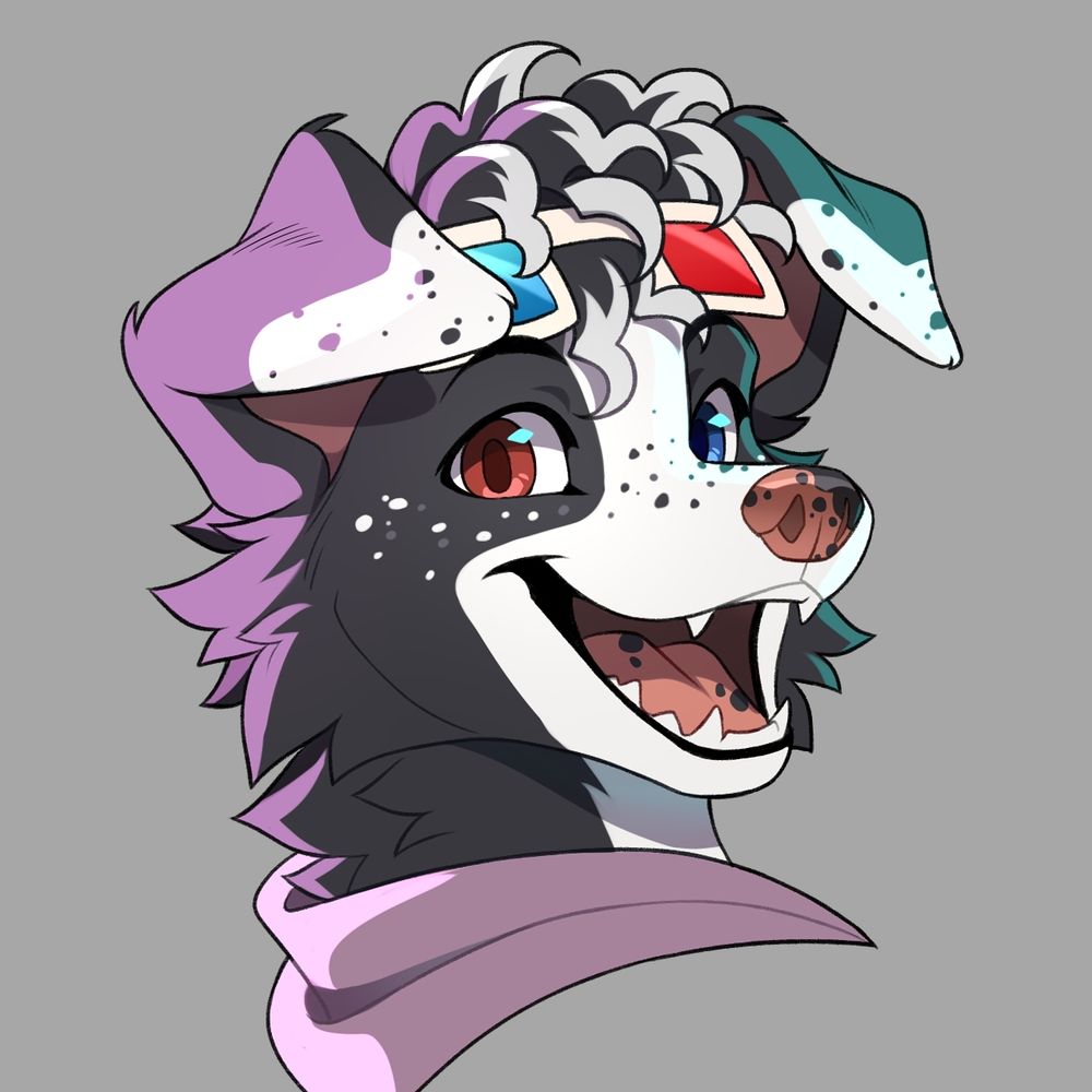Kodiax Collie (No_Vid!)