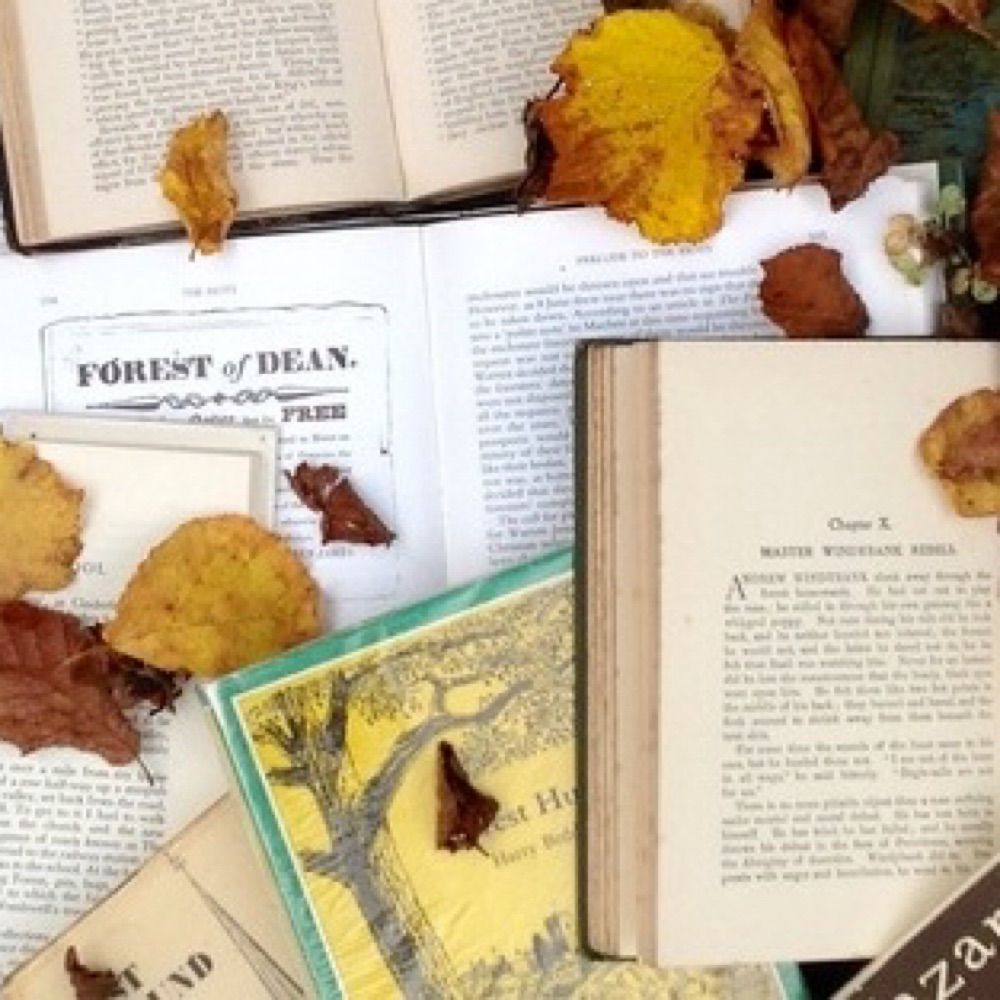 Reading the Forest