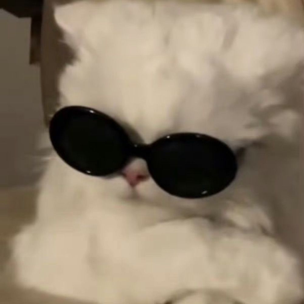 melodymew