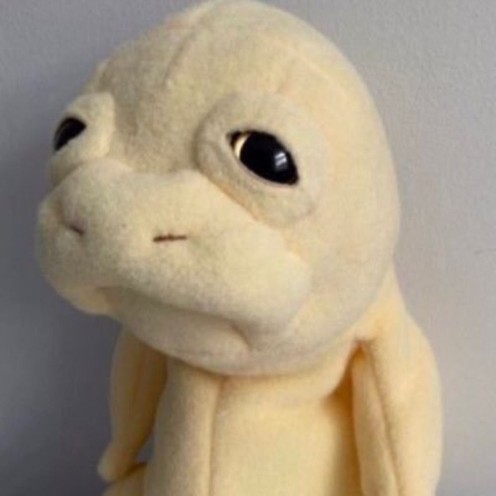 くら