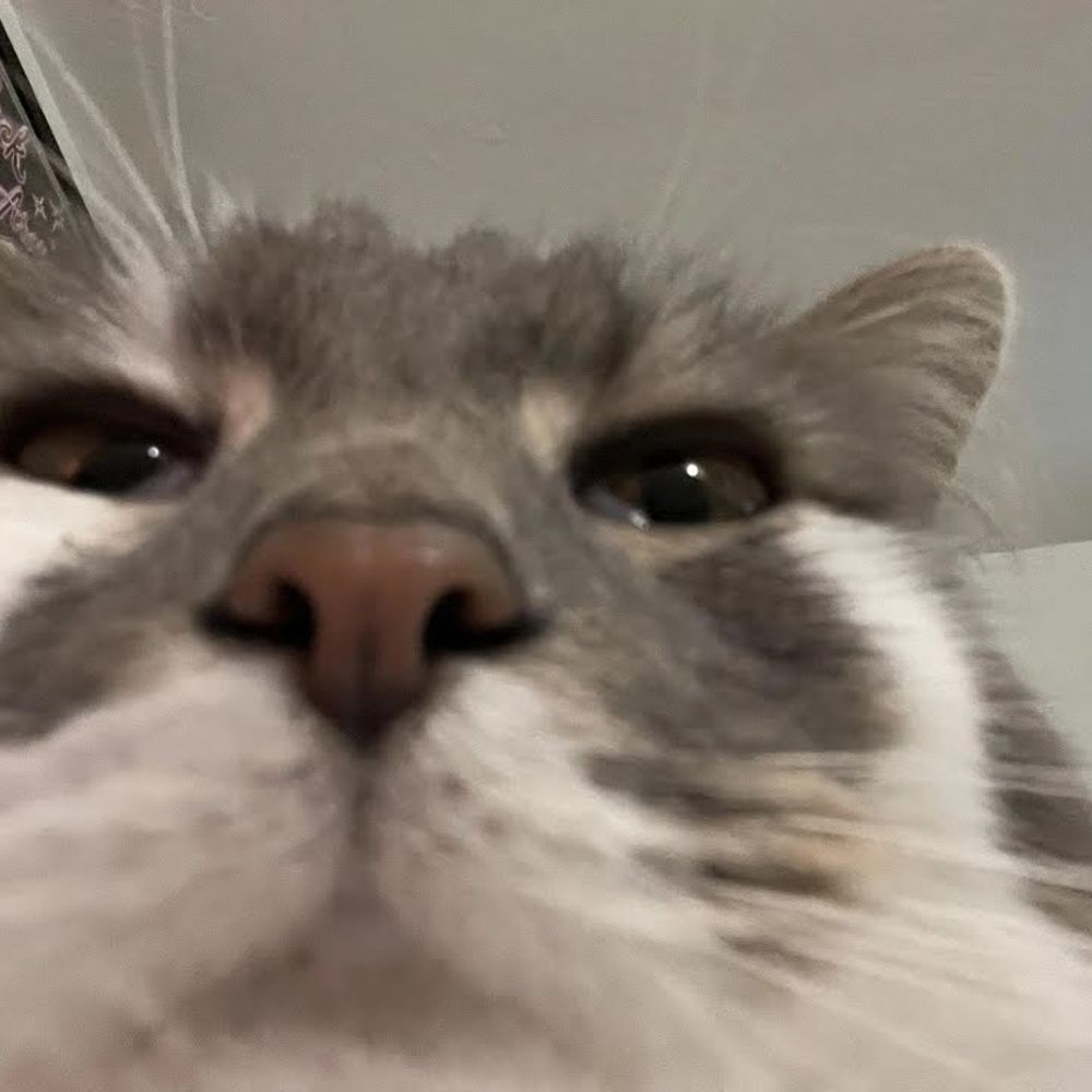 WoozWooz4