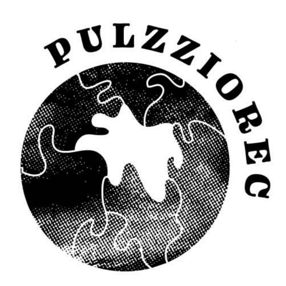 Pulzziorec