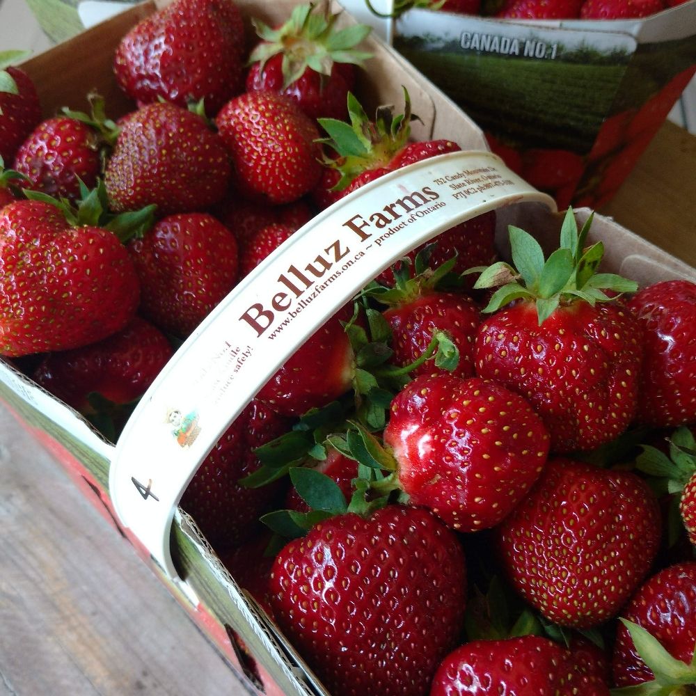 Belluz Farms