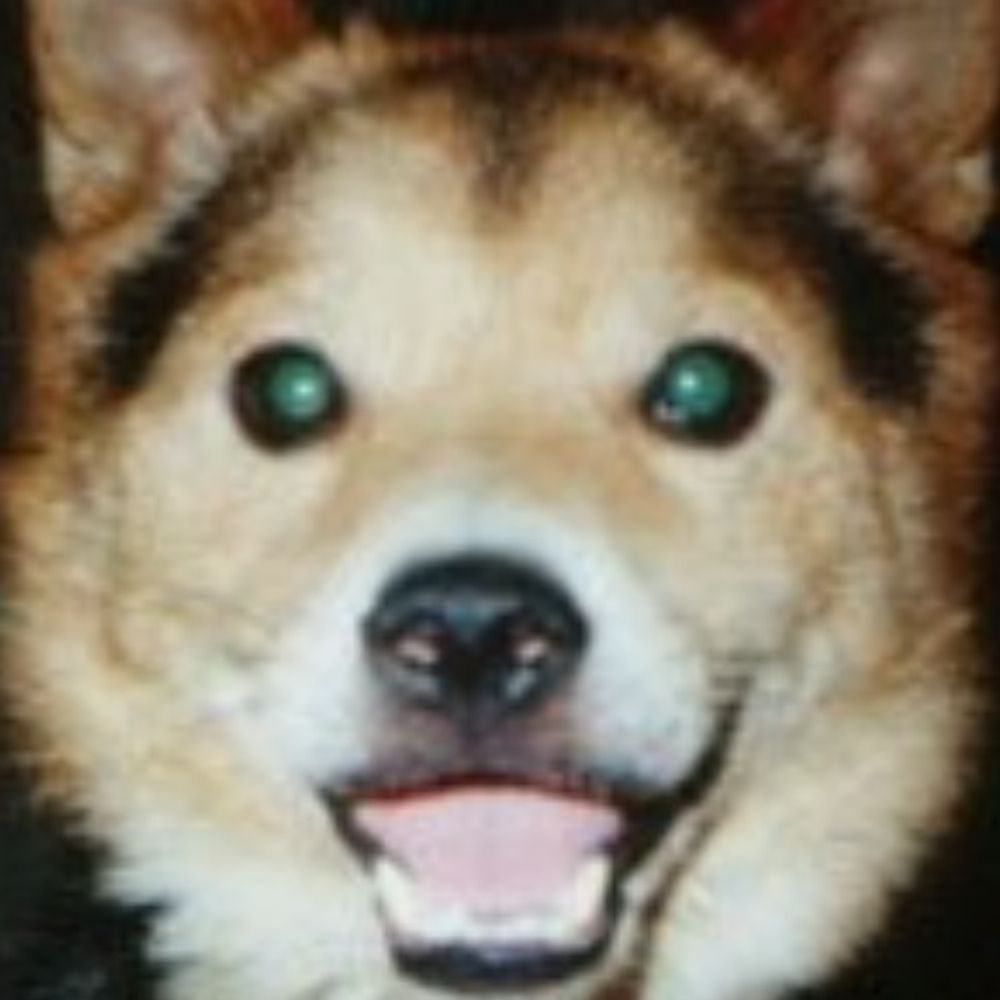 Albert