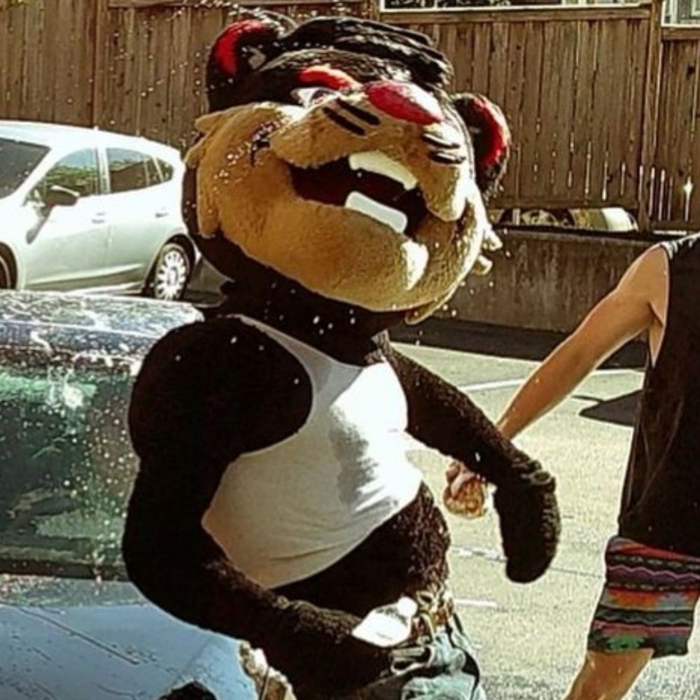 MascotFanatic