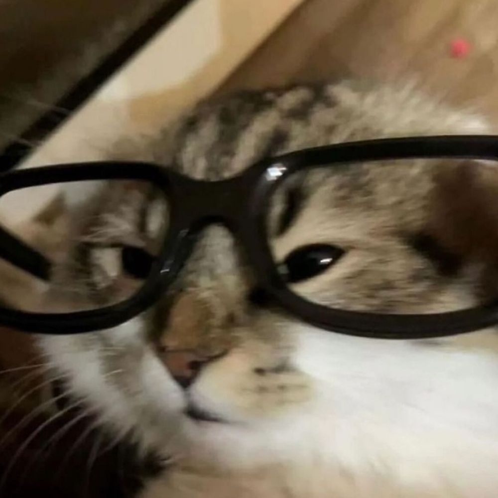 Maira