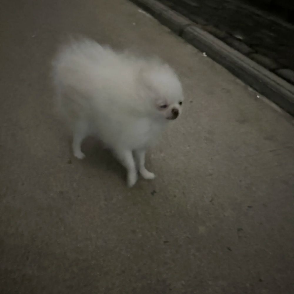 初寧是顆炸彈檸檬