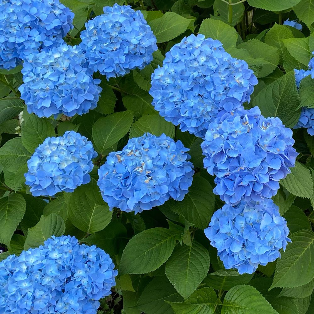 雨雫