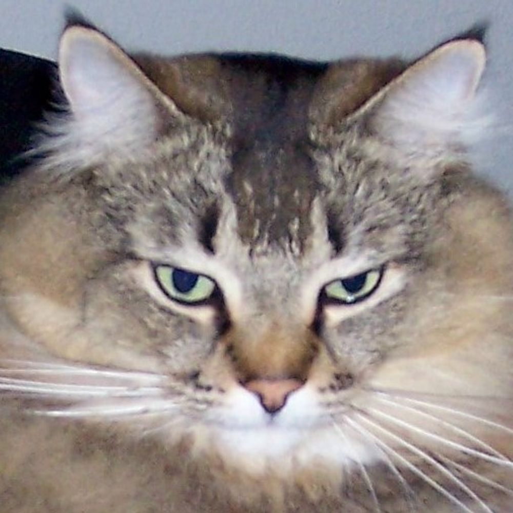 Bill G.