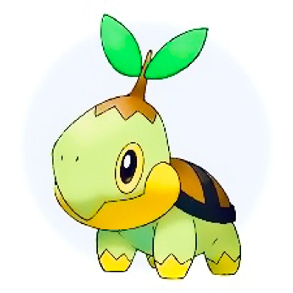 Turtwig