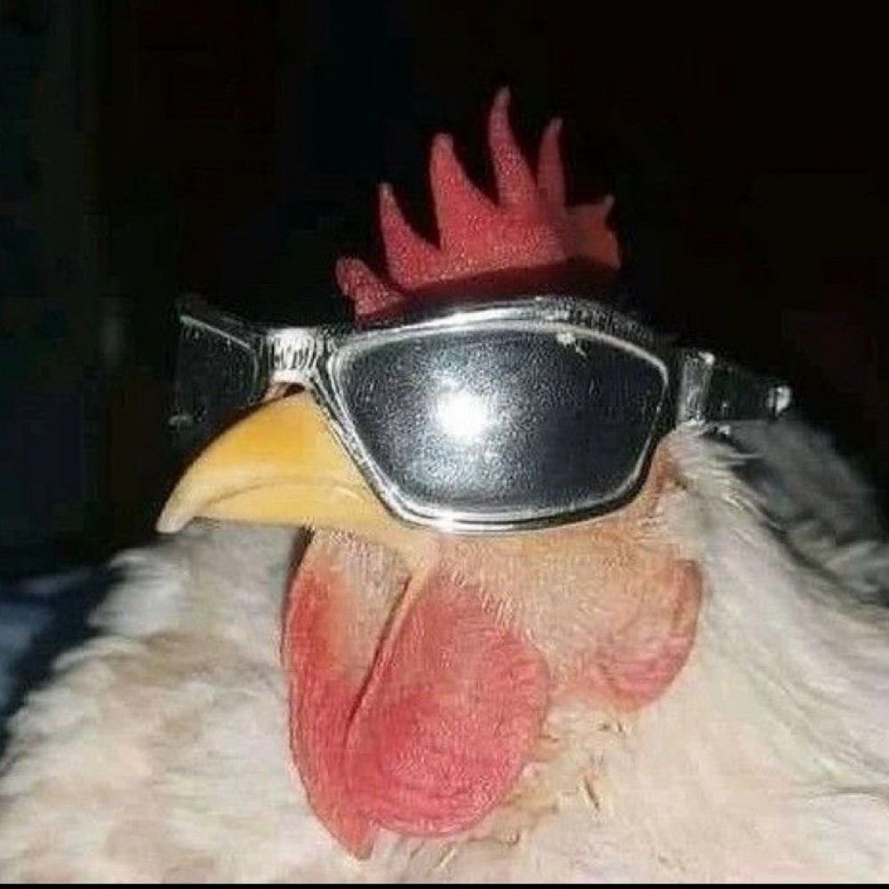 galinha chicken little
