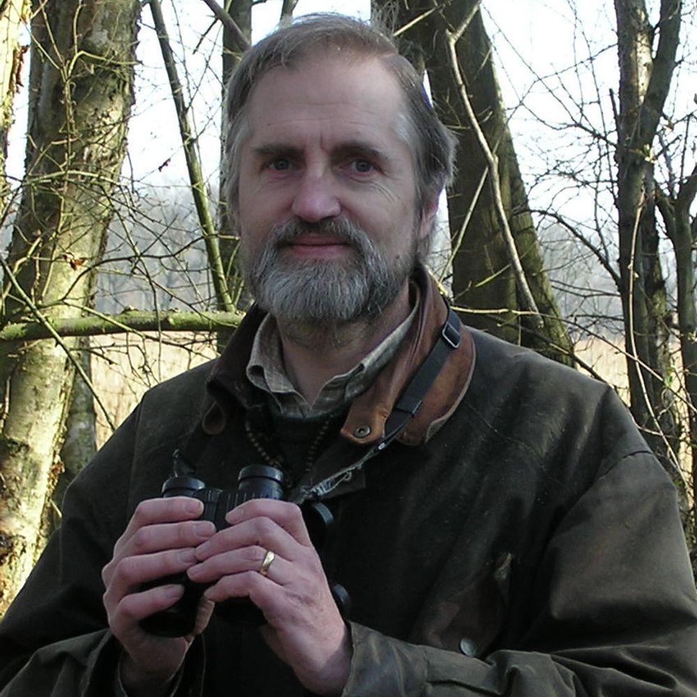 Stephen Baillie