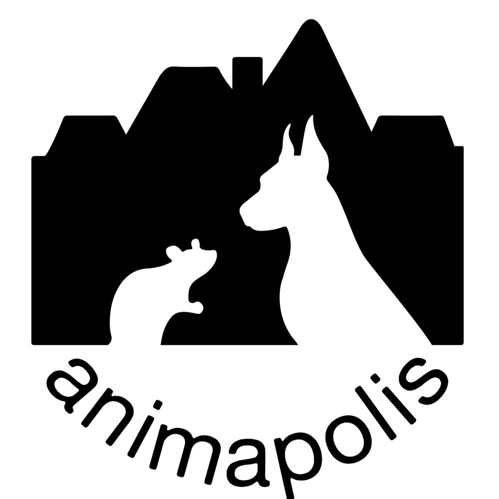 ANIMAPOLIS