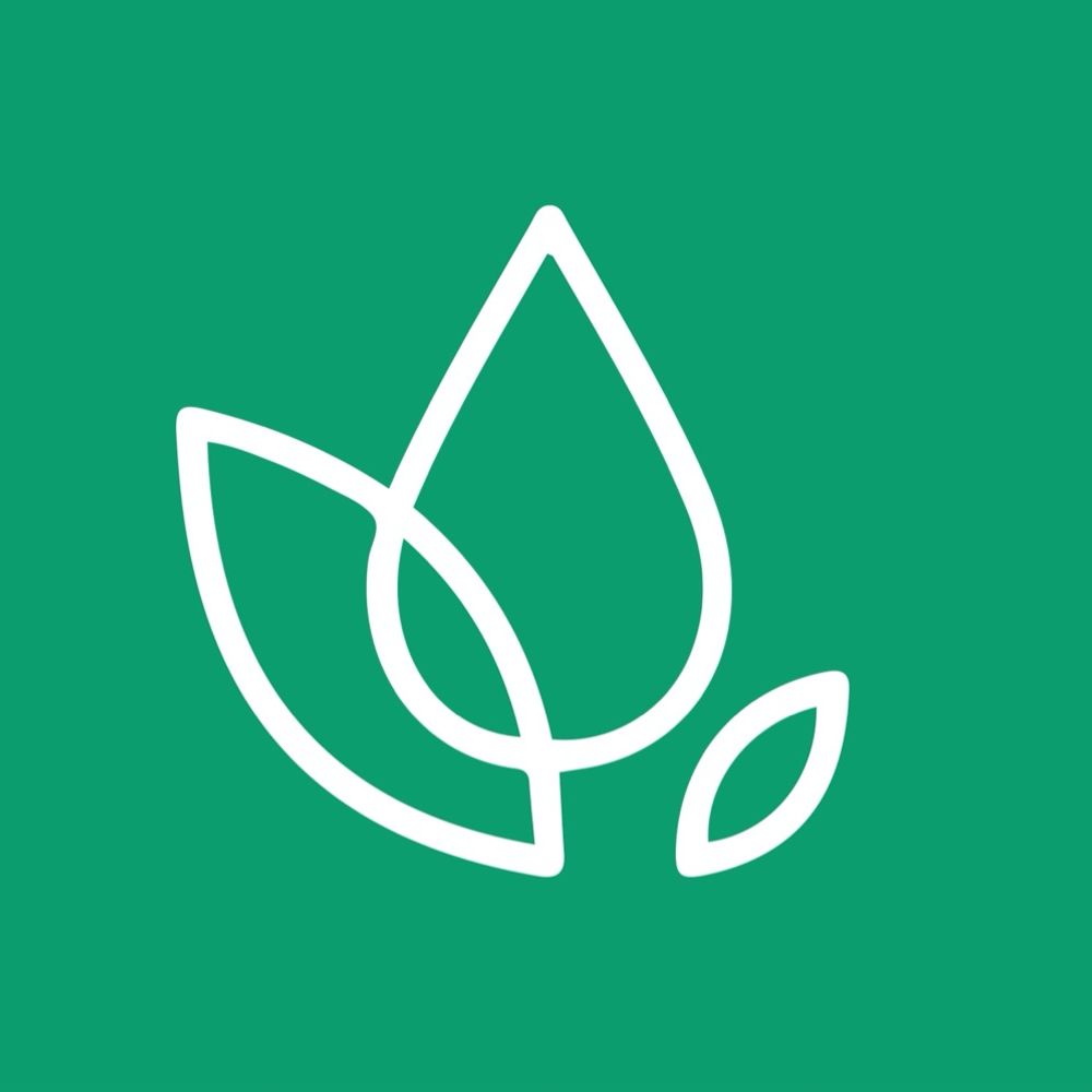 Seedbed