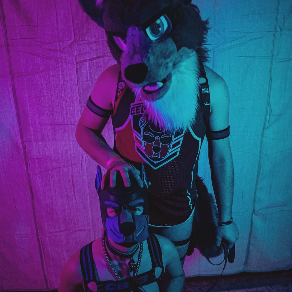 NeoFox