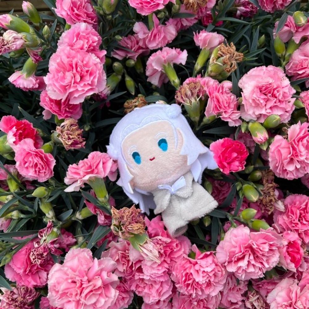 코르