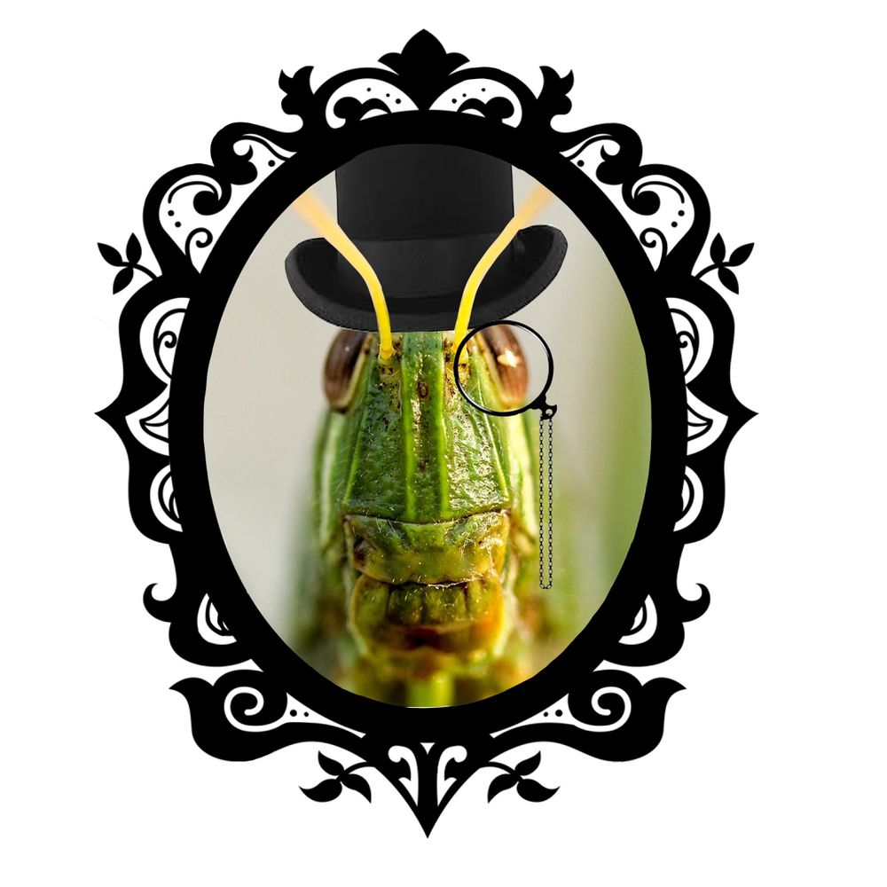 Dr Grasshopper