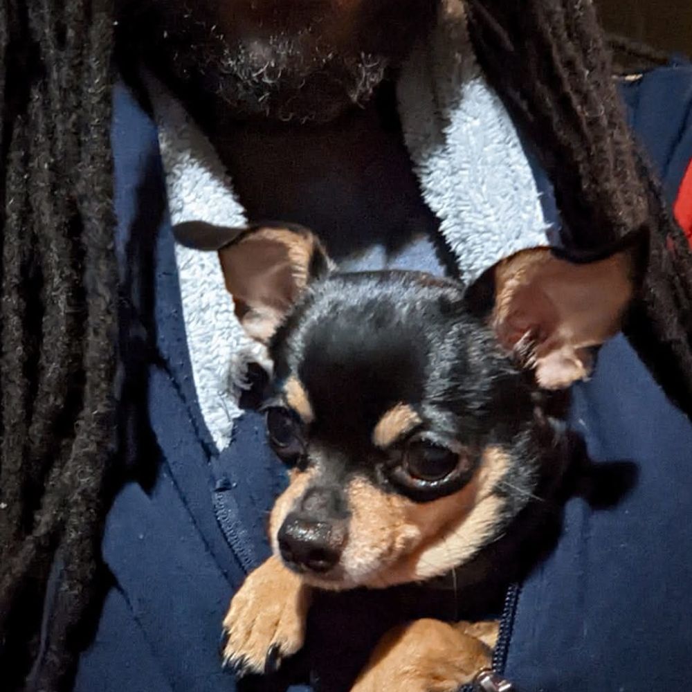 DreadNaughty