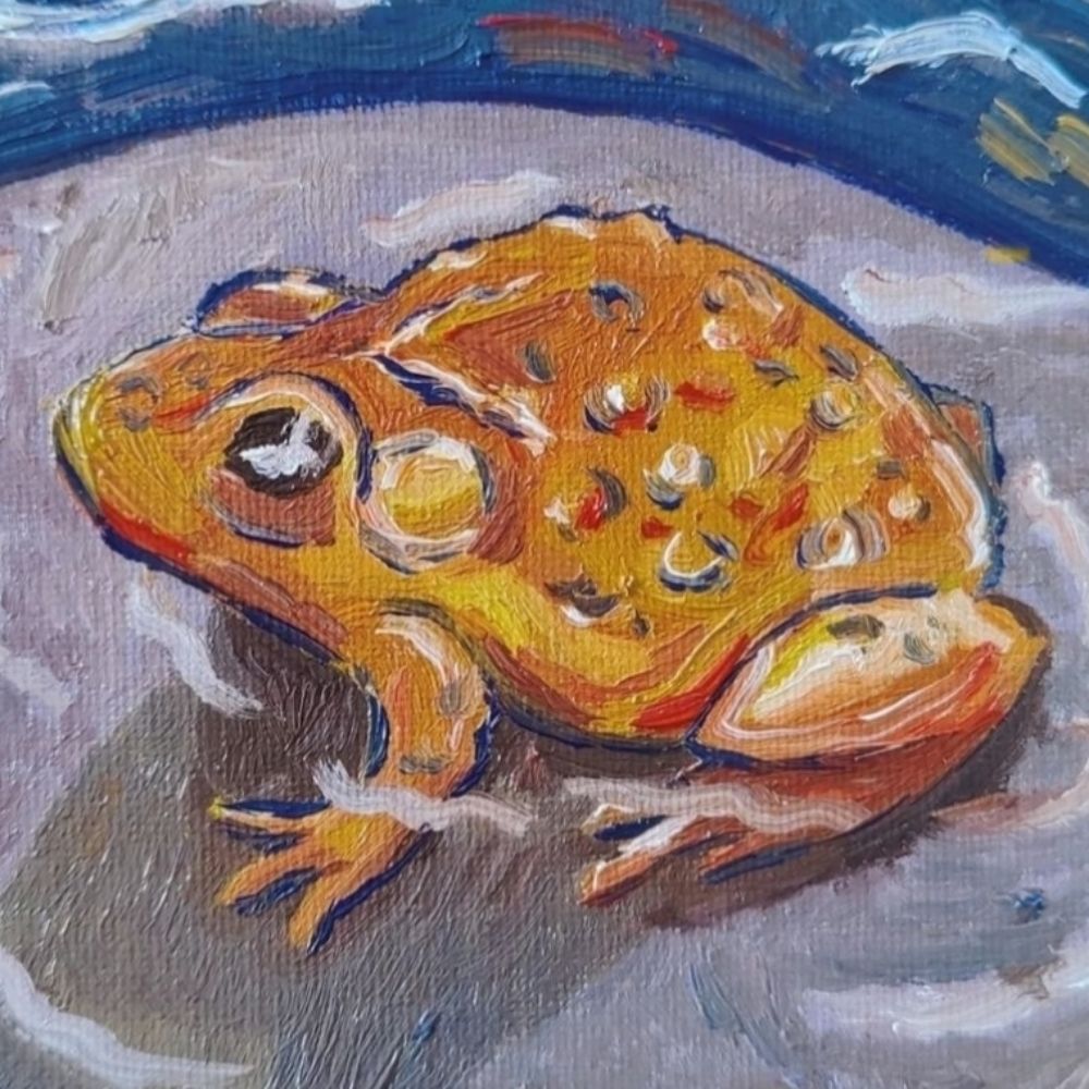Jet Nikolai🐸✨🏳️‍⚧️