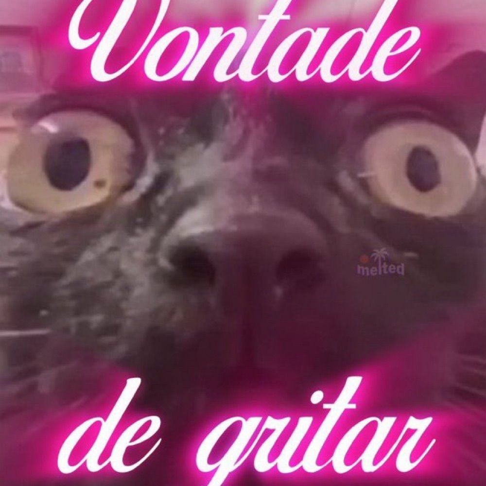 Tá cedo e eu já desisti