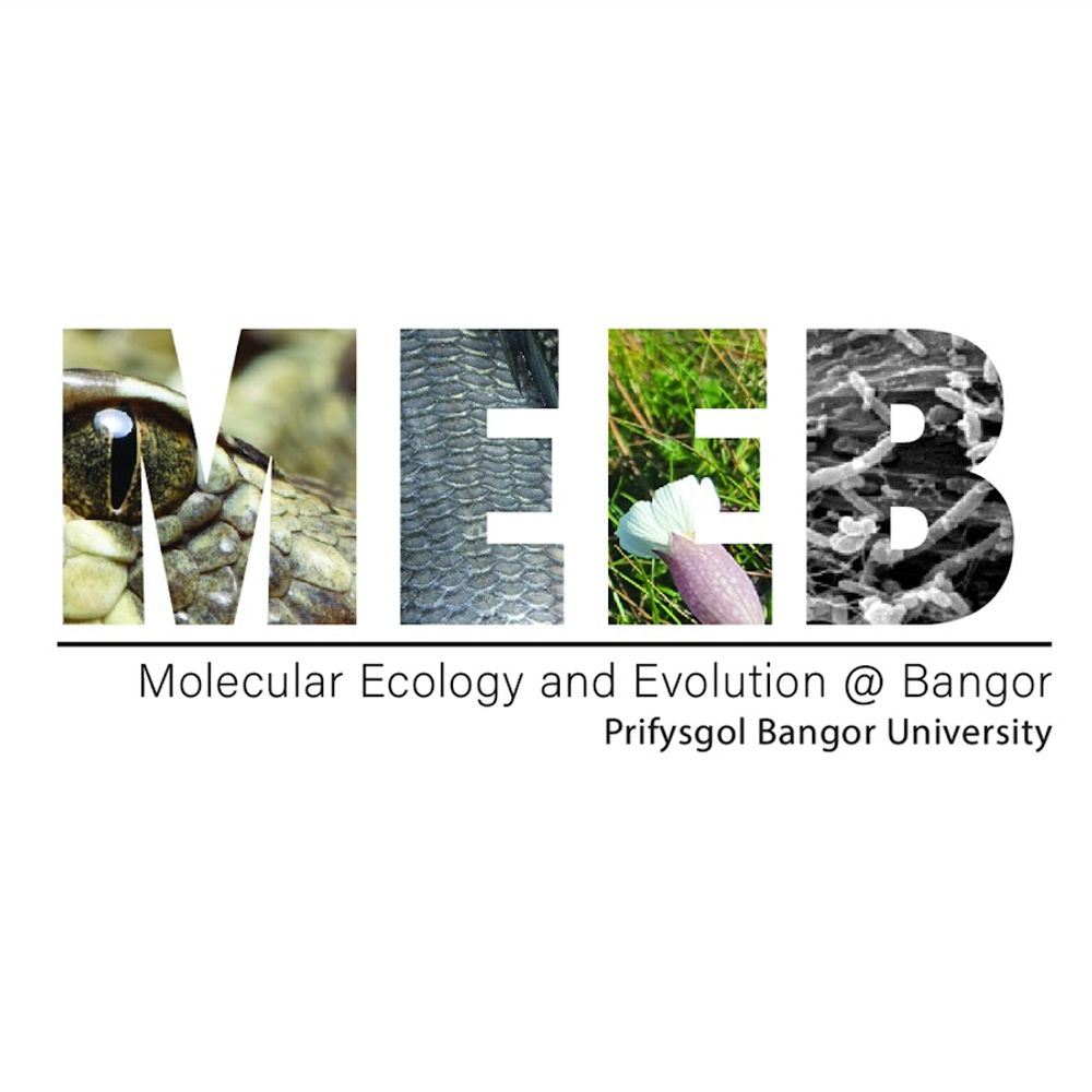 Molecular Ecology & Evolution at Bangor