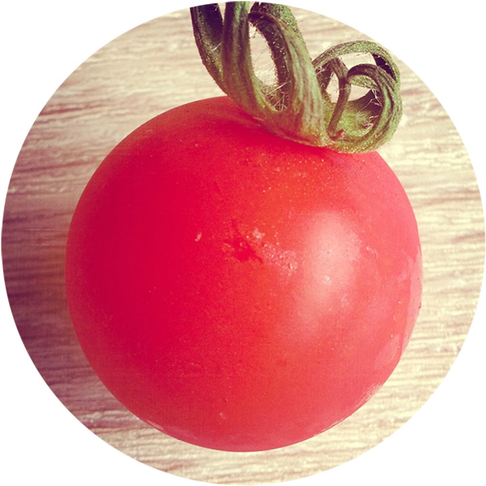 pomodorosa