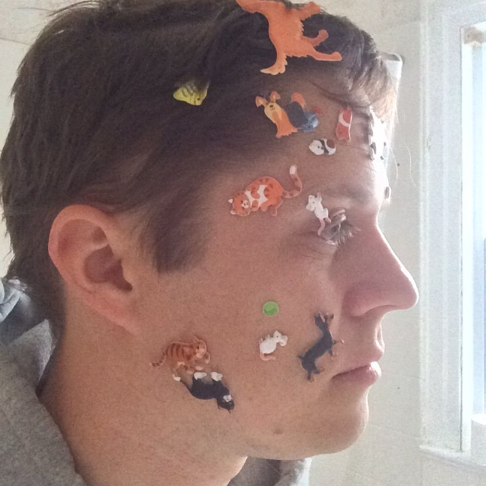 Matt Ward