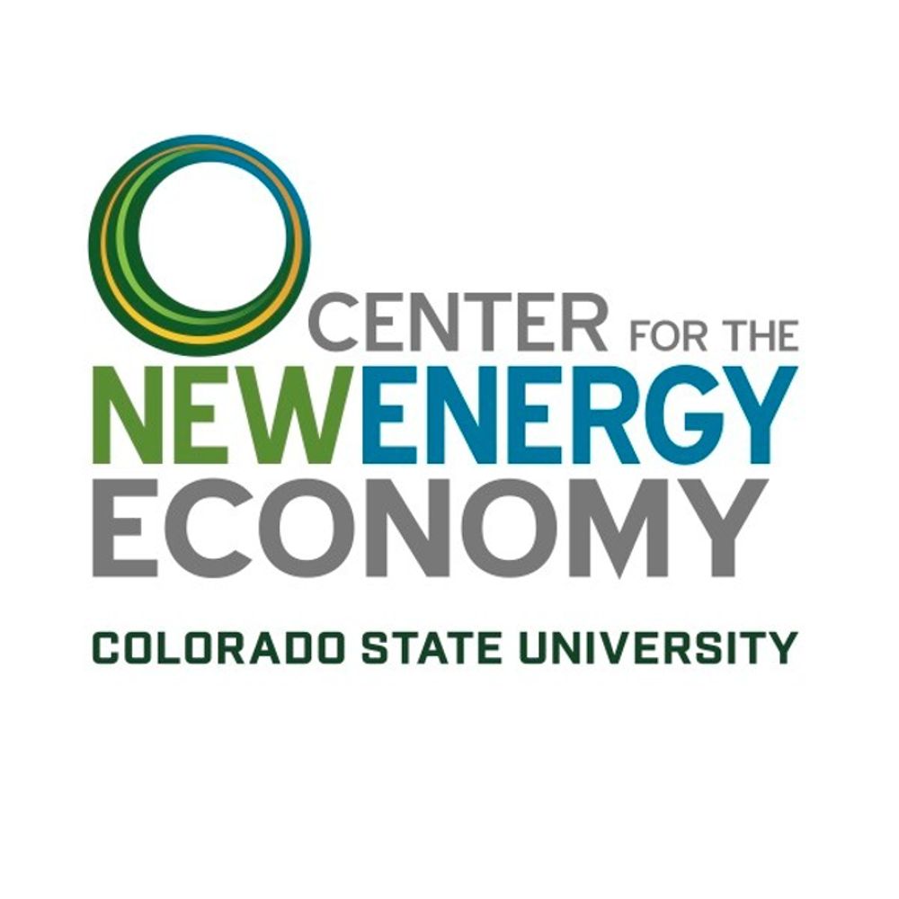 Center for the New Energy Economy