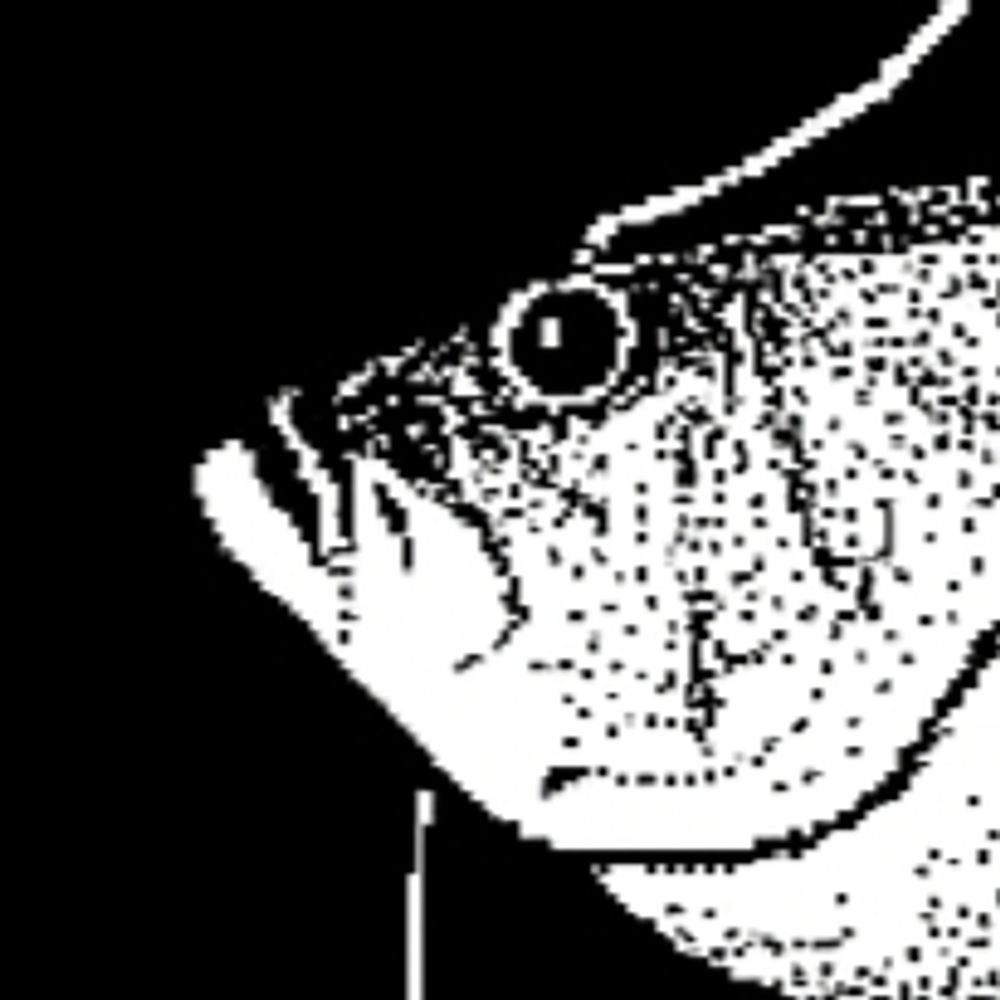 manfish