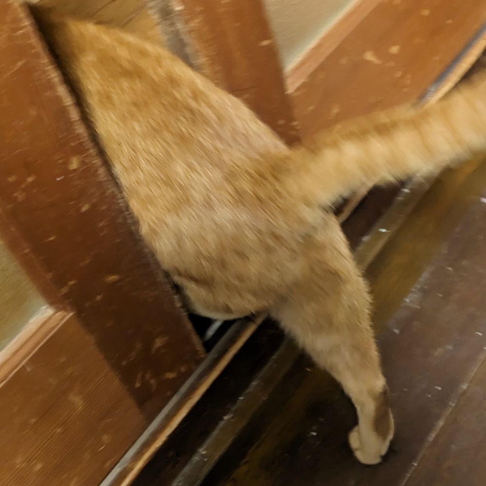 インク