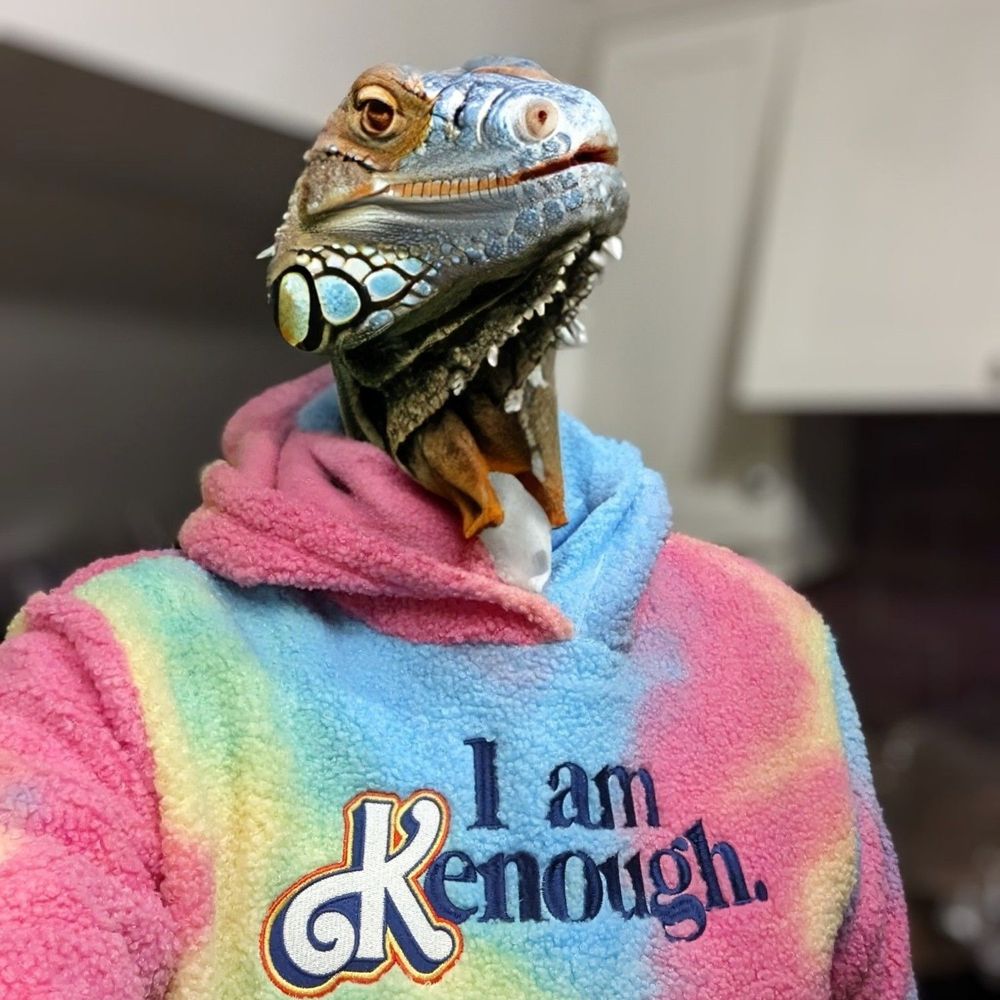 Curious Iguana's avatar