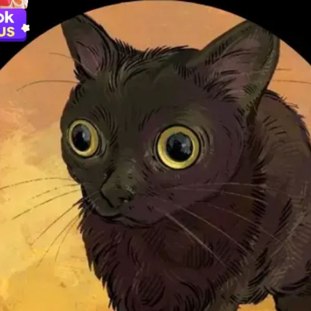 gato de apartamento criado pela internet