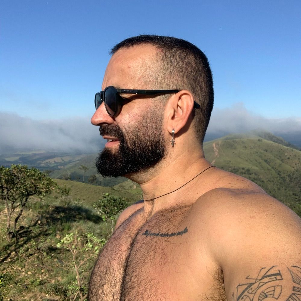 Urso 🐻 Dulp