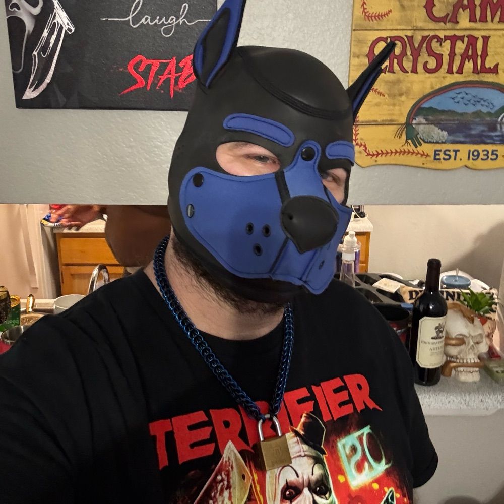 Pup Cyber
